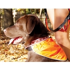 Image of Kurgo Reflect & Protect Active Dog Bandana - Blaze Orange