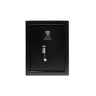 Image of Lion Guard Ammo & Pistol Safe - Black