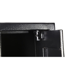 Image of Lion Guard Gun Cabinet - 4 Gun - Black