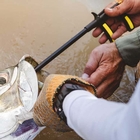 Image of Loon Apex Hook Remover
