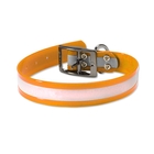 Image of Orvis Coated Reflective Waterproof Dog Collar - Orange