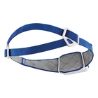 Image of Petzl Reactik Headlamp - Blue