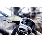 Image of Quantum Accurist Baitcast AT101 HPT Reel