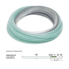 Image of Rio Premier Coldwater Outbound Short Intermediate Fly Line - Clear/Gray/Trans Green