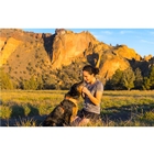 Image of Ruffwear Front Range Harness - Twilight Grey