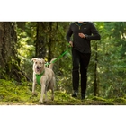 Image of Ruffwear Front Range Leash - Wild Berry