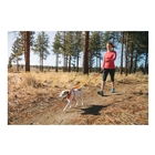 Image of Ruffwear High & Light Harness - Blue Atoll