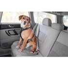 Image of Ruffwear Load Up Harness - Obsidian Black
