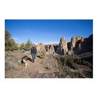 Image of Ruffwear Ridgeline Leash - Forest Green