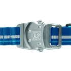 Image of Ruffwear Top Rope Collar - Metolius Blue