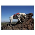 Image of Ruffwear Web Master Harness - Obsidian Black