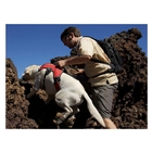 Image of Ruffwear Web Master Harness - Obsidian Black