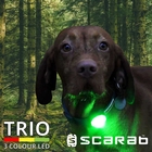 Image of Scarab Trio 3 Colour LED Reachargeable Dog Safety Light