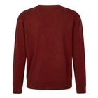 Image of Seeland Pine V-Neck Pullover - Merlot