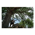 Image of Seeland Chaser Aero Trousers - Pine Green