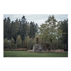 Image of Seeland Avail Aya Insulated Ladies Jacket - Pine Green/Demitasse Brown