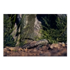 Image of Seeland Hawker Shell II Trousers - Pine Green