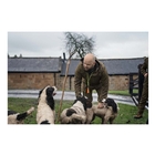 Image of Seeland Key-Point Elements Jacket - Pine Green/Dark Brown