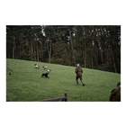Image of Seeland Key-Point Elements Jacket - Pine Green/Dark Brown