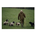 Image of Seeland Key-Point Elements Jacket - Pine Green/Dark Brown