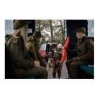 Image of Seeland Key-Point Elements Jacket - Pine Green/Dark Brown