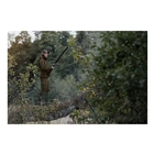 Image of Seeland Key-Point Elements Jacket - Pine Green/Dark Brown