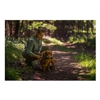 Image of Seeland Womens Larch Stretch Trousers - Pine Green