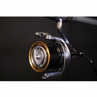 Image of Shimano Fliegen 35SD Surf Reel