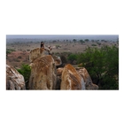 Image of Swarovski CL Companion 10x30 Binoculars - Brown