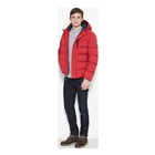 Image of Timberland Goose Eye Mountain Jacket (Men's) - Chilli Pepper