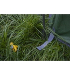 Image of Vango Omega 350 Tent - Cactus