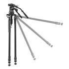 Image of Vanguard Alta Pro 3VRL 303AV18 Tripod - Aluminium