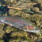 Image of Vision 4 Piece Nymphmaniac Fly Rod - 10ft - #3 With Koma Fly Reel - #5/6 & Nymph Line #3