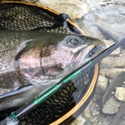 Image of Vision 4 Piece Nymphmaniac Fly Rod - 10ft - #3 With Koma Fly Reel - #5/6 & Nymph Line #3