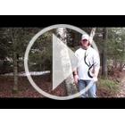 Image of SpyPoint FORCE-11D Trail/Surveillance Camera - Camo