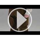 Image of Harkila Retrieve Trousers - Warm Olive