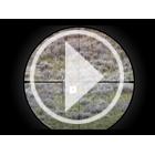 Image of Sig Sauer Sierra 6 BDX SFP 2-12x40 Rifle Scope - Black