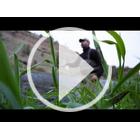 Image of Orvis Silver Sonic Stockingfoot Convertible Top Waders